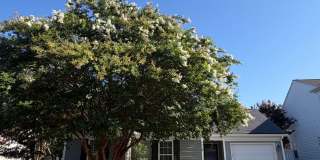Charming Corner-Lot Ranch in the heart of Indian Land – Minutes from Ballantyne, Shopping & Top-Rated Schools! Gallery 1
