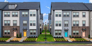 250 MONROE AVE Gallery 1