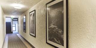 The Amberton Gallery 10