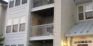 7505 J Calderon Ct Gallery 1