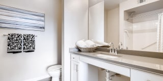 Lowry Park Gallery 10