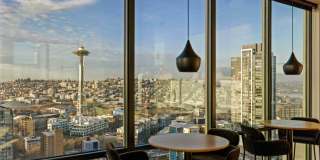 The Confidential Gallery 41