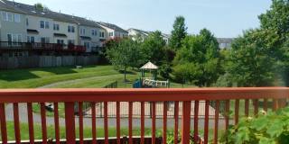 5316 ROSEMALLOW Circle Gallery 18