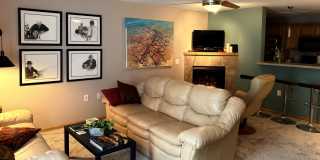 8206 Starr Grass Drive Gallery 8