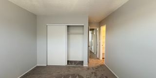 Summer Woods Gallery 29