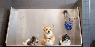 The Sutton Gallery 5