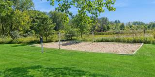 ReNew Woodland North and South Gallery 46