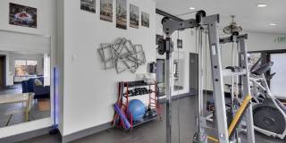 The Modern Gallery 43