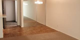 Hillside Terrace Gallery 14