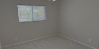 3935 ANGEL TRUMPET Gallery 17