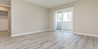 The Hazelwood Gallery 33