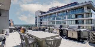 Ellis Bethesda Gallery 56