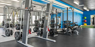 Carrington Oaks Gallery 76