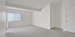 34040 Selva #127 Gallery 14