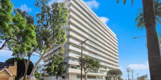 838 N Doheny Dr Gallery 1
