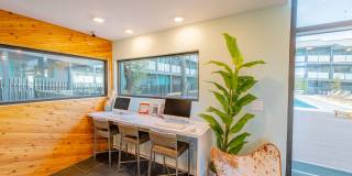 The Hedge Apartments Gallery 35