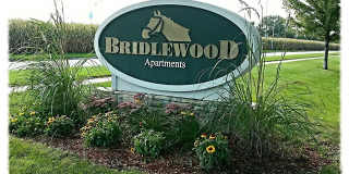 Bridlewood Bridlewood Gallery 53