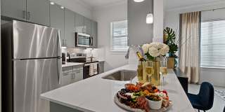 Reveal at Onion Creek Apartments Gallery 18