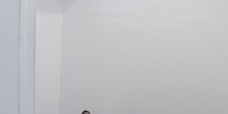 4303 9th Street Road - 1 4303 9th Street Road - 1 Gallery 30