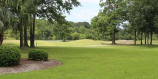 NEW REDUCED PRICE in Beautiful Sea Trail Plantation townhome NEW REDUCED PRICE in Beautiful Sea Trail Plantation townhome Gallery 36