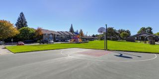 Hastings Park Gallery 14