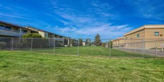 PepperTree Village Gallery 15