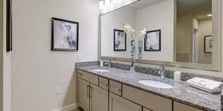 2900 West Dallas 2900 West Dallas Gallery 6