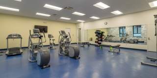 Red Oak at 875 Elm Street Gallery 5