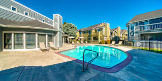 Bristle Pointe Gallery 28