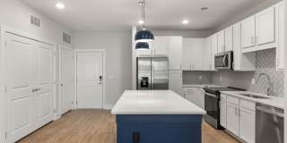 Solis Buffaloe Gallery 50