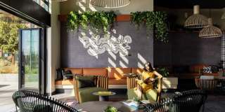 Orlo & Alba Gallery 7