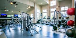 Aliso Briar Forest Gallery 19