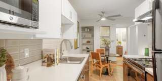 Sofi Belmar Gallery 9