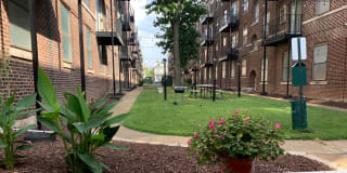 Forest Park Apartments Gallery 6