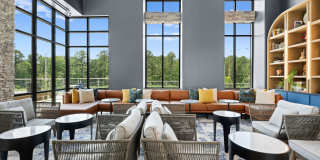 NOVEL Morrisville Gallery 27