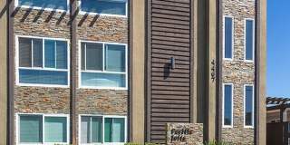 Elan Pacific Lofts Gallery 1