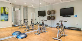 Wynfield Trace Gallery 24