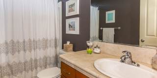 Great four bedroom home in Beaverton! Gallery 8