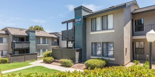 Hensley at Corona Pointe Gallery 36