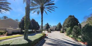 6694 ARCHING BRANCH Circle Gallery 11