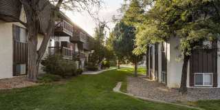 Trailgrove Gallery 19