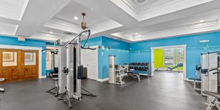 Carlyle at Bartram Park Gallery 12