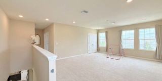 13781 Wineberry Drive Gallery 17