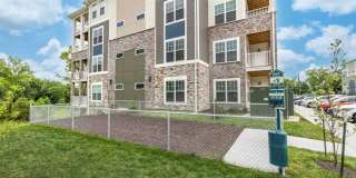 The Bonavia at Withers Farm Gallery 20