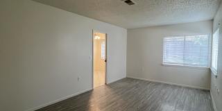 9123 Alpine Trail Street Gallery 35