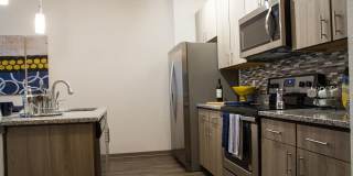 The Strand Gallery 3