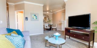 Bella Springs Gallery 21