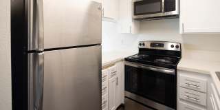 Golden Pacific Gallery 4