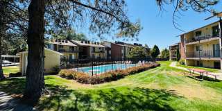 Spacious 2 bed/2 bath in Millcreek-**Move in Special-1/2 off first month** Gallery 9