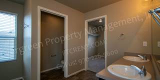 Spacious Home in Timnath Ranch Sub-Div! Gallery 19